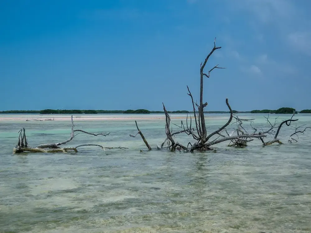 Shallow turquoise lagoon at Isla Holbox with flamingos
