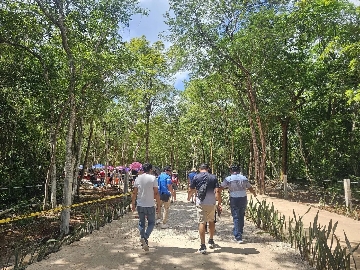 Visitors walking through the shaded jungle path at Chichen Itza